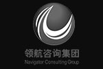领航咨询集团